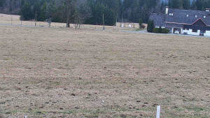 Rejvíz - Běžecké stopy - Rejvíz - Běžecké stopy - 23.3.2026 v 13:00 Rejvíz - Běžecké stopy - Rejvíz - Běžecké stopy - 23.3.2026 v 13:00