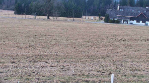 Rejvíz - Běžecké stopy - Rejvíz - Běžecké stopy - 24.3.2026 v 08:00 Rejvíz - Běžecké stopy - Rejvíz - Běžecké stopy - 24.3.2026 v 08:00