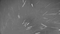 Rejvíz - Běžecké stopy