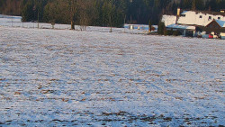 Rejvíz - Běžecké stopy