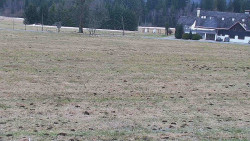 Rejvíz - Běžecké stopy