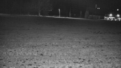 Rejvíz - Běžecké stopy