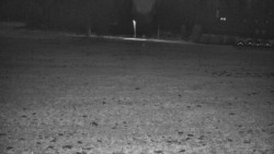 Rejvíz - Běžecké stopy