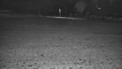 Rejvíz - Běžecké stopy