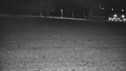 Rejvíz - Běžecké stopy