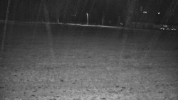 Rejvíz - Běžecké stopy