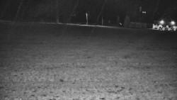 Rejvíz - Běžecké stopy