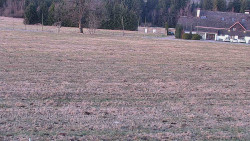 Rejvíz - Běžecké stopy