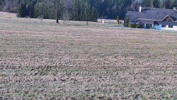 Rejvíz - Běžecké stopy