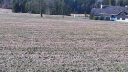 Rejvíz - Běžecké stopy