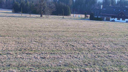 Rejvíz - Běžecké stopy