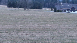 Rejvíz - Běžecké stopy