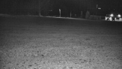 Rejvíz - Běžecké stopy