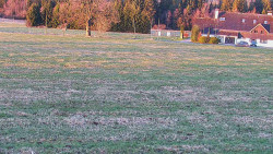 Rejvíz - Běžecké stopy