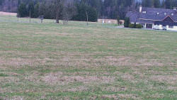 Rejvíz - Běžecké stopy