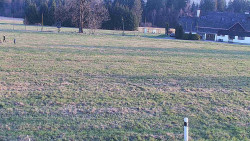 Rejvíz - Běžecké stopy