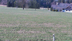 Rejvíz - Běžecké stopy