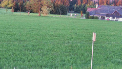 Rejvíz - Běžecké stopy