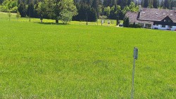 Rejvíz - Běžecké stopy