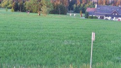 Rejvíz - Běžecké stopy
