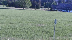 Rejvíz - Běžecké stopy