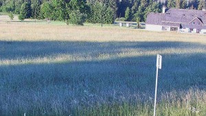 Rejvíz – trasy narciarstwa biegowego - Rejvíz - trasy narciarstwa biegowego - 24.6.2026 v 06:00 Rejvíz – trasy narciarstwa biegowego - Rejvíz - trasy narciarstwa biegowego - 24.6.2026 v 06:00