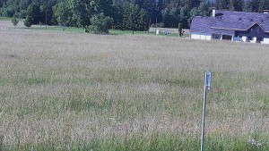 Rejvíz – trasy narciarstwa biegowego - Rejvíz - trasy narciarstwa biegowego - 24.6.2026 v 09:00 Rejvíz – trasy narciarstwa biegowego - Rejvíz - trasy narciarstwa biegowego - 24.6.2026 v 09:00