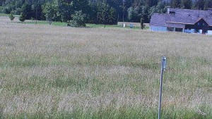 Rejvíz – trasy narciarstwa biegowego - Rejvíz - trasy narciarstwa biegowego - 24.6.2026 v 10:00 Rejvíz – trasy narciarstwa biegowego - Rejvíz - trasy narciarstwa biegowego - 24.6.2026 v 10:00