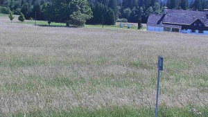 Rejvíz – trasy narciarstwa biegowego - Rejvíz - trasy narciarstwa biegowego - 24.6.2026 v 15:00 Rejvíz – trasy narciarstwa biegowego - Rejvíz - trasy narciarstwa biegowego - 24.6.2026 v 15:00