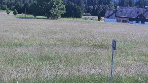 Rejvíz – trasy narciarstwa biegowego - Rejvíz - trasy narciarstwa biegowego - 24.6.2026 v 16:00 Rejvíz – trasy narciarstwa biegowego - Rejvíz - trasy narciarstwa biegowego - 24.6.2026 v 16:00