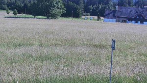 Rejvíz – trasy narciarstwa biegowego - Rejvíz - trasy narciarstwa biegowego - 24.6.2026 v 17:00 Rejvíz – trasy narciarstwa biegowego - Rejvíz - trasy narciarstwa biegowego - 24.6.2026 v 17:00