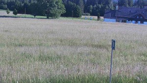 Rejvíz – trasy narciarstwa biegowego - Rejvíz - trasy narciarstwa biegowego - 24.6.2026 v 18:00 Rejvíz – trasy narciarstwa biegowego - Rejvíz - trasy narciarstwa biegowego - 24.6.2026 v 18:00