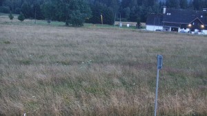 Rejvíz - Běžecké stopy - Rejvíz - Běžecké stopy - 31.7.2026 v 21:00 Rejvíz - Běžecké stopy - Rejvíz - Běžecké stopy - 31.7.2026 v 21:00