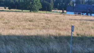 Rejvíz – trasy narciarstwa biegowego - Rejvíz - trasy narciarstwa biegowego - 8.8.2026 v 19:00 Rejvíz – trasy narciarstwa biegowego - Rejvíz - trasy narciarstwa biegowego - 8.8.2026 v 19:00