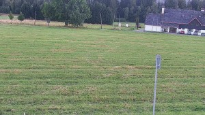 Rejvíz – Langlaufloipen - Reihwiesen – Langlaufloipen - 15.9.2026 v 19:00 Rejvíz – Langlaufloipen - Reihwiesen – Langlaufloipen - 15.9.2026 v 19:00