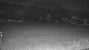 Rejvíz - Běžecké stopy - Rejvíz - Běžecké stopy - 13.6.2024 v 01:00 Rejvíz - Běžecké stopy - Rejvíz - Běžecké stopy - 13.6.2024 v 01:00