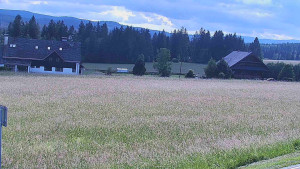 Rejvíz - Běžecké stopy - Rejvíz - Běžecké stopy - 13.6.2024 v 16:00 Rejvíz - Běžecké stopy - Rejvíz - Běžecké stopy - 13.6.2024 v 16:00