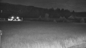 Rejvíz - Běžecké stopy - Rejvíz - Běžecké stopy - 13.6.2024 v 23:00 Rejvíz - Běžecké stopy - Rejvíz - Běžecké stopy - 13.6.2024 v 23:00