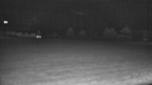 Rejvíz - Běžecké stopy - Rejvíz - Běžecké stopy - 29.10.2025 v 05:01 Rejvíz - Běžecké stopy - Rejvíz - Běžecké stopy - 29.10.2025 v 05:01