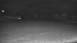 Rejvíz - Běžecké stopy