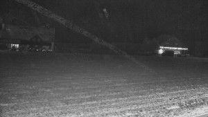 Rejvíz - Běžecké stopy - Rejvíz - Běžecké stopy - 28.12.2025 v 06:01 Rejvíz - Běžecké stopy - Rejvíz - Běžecké stopy - 28.12.2025 v 06:01