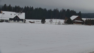 Rejvíz - Běžecké stopy - Rejvíz - Běžecké stopy - 13.1.2026 v 14:00 Rejvíz - Běžecké stopy - Rejvíz - Běžecké stopy - 13.1.2026 v 14:00