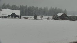 Rejvíz - Běžecké stopy