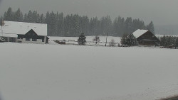 Rejvíz - Běžecké stopy