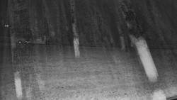 Běžecké stopy, NPR Rejvíz