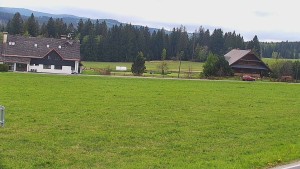 Rejvíz - Běžecké stopy - Běžecké stopy, NPR Rejvíz - 11.5.2026 v 13:00 Rejvíz - Běžecké stopy - Běžecké stopy, NPR Rejvíz - 11.5.2026 v 13:00