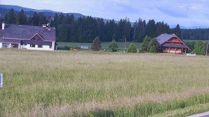 Rejvíz – Langlaufloipen - Langlaufloipen, Naturreservat Rejvíz - 17.6.2026 v 07:01 Rejvíz – Langlaufloipen - Langlaufloipen, Naturreservat Rejvíz - 17.6.2026 v 07:01