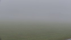 Running tracks, NPR Rejvíz