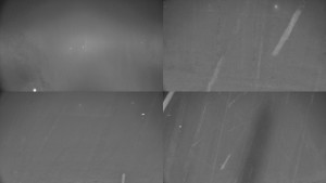 Rejvíz - Běžecké stopy - Rejvíz - Běžecké stopy - 3.11.2025 v 02:01 Rejvíz - Běžecké stopy - Rejvíz - Běžecké stopy - 3.11.2025 v 02:01