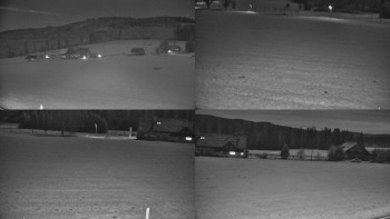 Snímek 5.11.2025 v 01:01